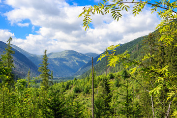 Ticha dolina valley protected area of the national park TANAP Slovakia