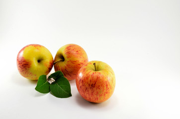 Three ripe red apples and a green twig.