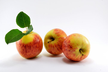 Three ripe red apples and a green twig.