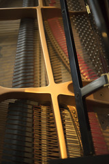 Cconert grand piano strings