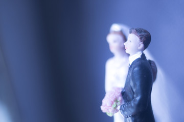 Wedding couple marriage dolls