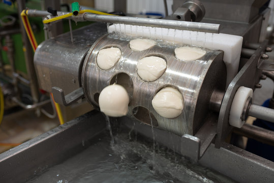 Production handmade craftsmanship of mozzarella made with Bufala milk in the Campania