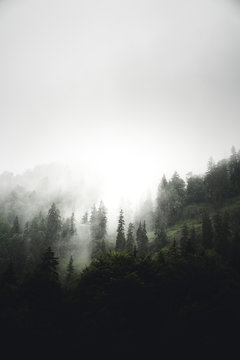 Nebel im Mogengraunen am Hochstaufen in den Berchtesgadener Alpen