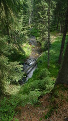 Strumyk leśny w okolicach Strzelińca w Górach Stołowych. Poludniowa Polska. Europa © Marian