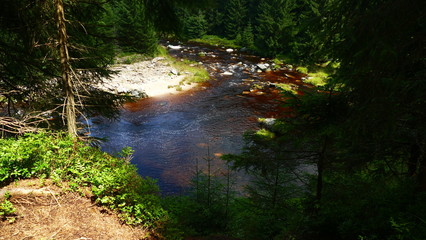 Strumień borowinowy na granicy Polski i Czech. Rejon Gór Stołowych. Europa. © Marian