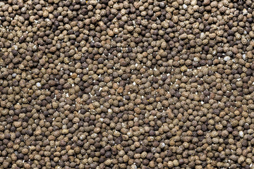 Angehäufte Mohnsamen gleichmäßig verteilt als Hintergrund 