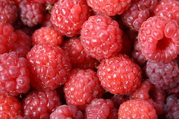 Raspberry berries. Background. Macrophotography