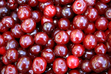 Cherry berries. Background. Macrophotography