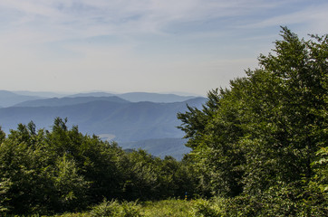Bieszczadzkie połoniny © wedrownik52