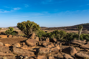 &Auml;thiopien - Landschaft auf der Fahrt vom S&auml;men-Nationalpark nach Aksum