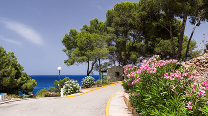 Ibiza - Punta Grossa bei Cala Sant Vicent