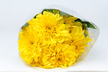 Colorful yellow flowers bouquet is a combination rests on white background.