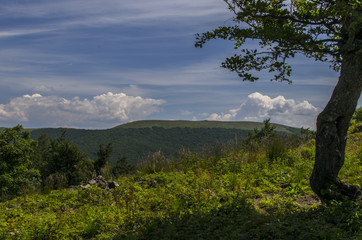 Bieszczadzkie połoniny © wedrownik52