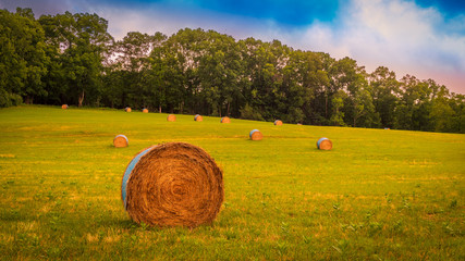 Naklejka na ściany i meble Round hay bale in a field by early morning light