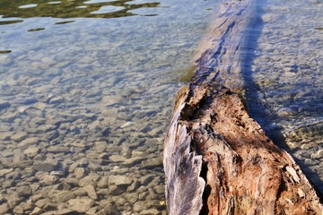 trunk on lake