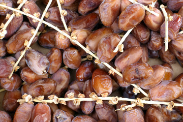 Dried Palm dates