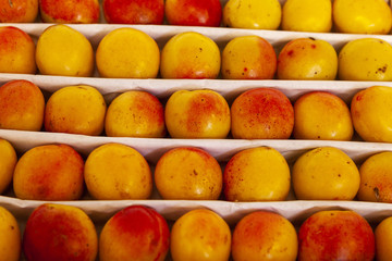 Juicy fruits of peach nectarines are spread out in even rows in the shop window