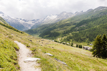 Fototapeta na wymiar Sils, Fextal, Val Fex, Fexgletscher, Piz Tremoggia, Wanderweg, Alm, Oberengadin, Graubünden, Sommer, Schweiz