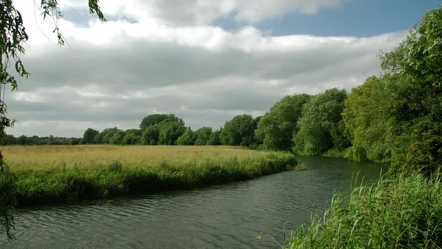 Landscape of river with field and willow leaves and reeds in the foreground clouds and blue sky