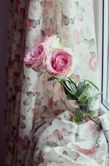 Roses stand on a window in an interior