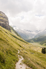 Sils, Segl, Val Fex, Fextal, Val Fedoz, Fexgletscher, Piz Tremoggia, Oberengadin, Graubünden, Wanderweg, Sommer, Schweiz