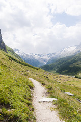 Sils, Fextal, Val Fex, Fexgletscher, Piz Tremoggia, Wanderweg, Bergwiesen, Alm, Oberengadin, Graubünden, Sommer, Schweiz