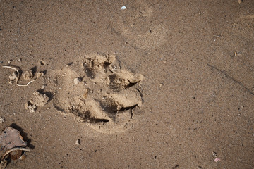 Closeup of sand pattern of a beach .