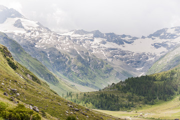 Fototapeta premium Sils, Segl, Val Fex, Fextal, Fextgletscher, Piz Tremoggia, Alpen, Oberengadin, Graubünden, Sommer, Schweiz