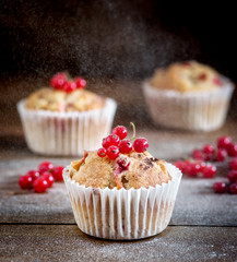 Tasty Cupcakes With Berries on Top Wooden Background Homemade Cupcake with Berry Apple and Spices Vertical Powdered Sugar