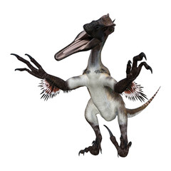 3D Rendering Dinosaur Utahraptor on White