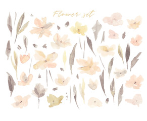 Watercolor flower set.