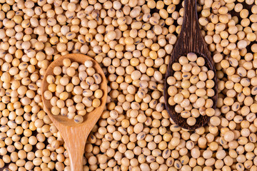 Soybean oil on a wooden background. rustic style