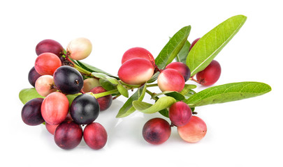 Karanda Fruits  isolated on white background