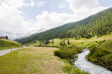 Sils, Val Fex, Fextal, Oberengadin, Wanderweg, Alpen, Fexgletscher, Piz Tremoggia, Fluss, Fedacla, Graub&uuml;nden, Sommer, Schweiz