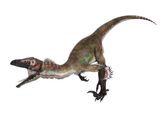 3D Rendering Dinosaur Utahraptor on White