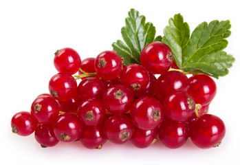 Red currant on white background