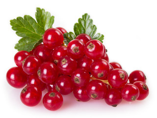 Red currant on white background