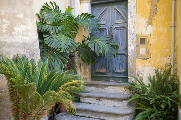 Fototapeta na wymiar Traditional Mediterranean village doorway with rounded arch is framed by tropical potted plants and a faded yellow wall
