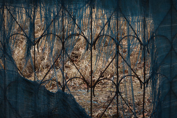 Old metal fence .