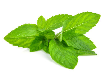 Fresh mint leafs isolated on a white background