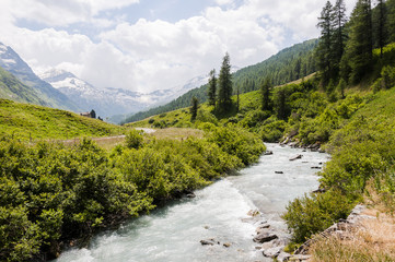 Fototapeta premium Sils, Segl, Val Fex, Fextal, Fexgletscher, Fedacla, Fluss, Wanderweg, Oberengadin, Alpen, Graubünden, Sommer, Schweiz