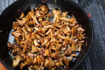 Fried chanterelle mushrooms in a cast iron pan
