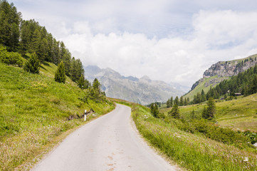 Fototapeta na wymiar Sils, Val Fex, Fextal, Wanderweg, Fex Cresta, Alpen, Oberengadin, Graubünden, Sommer, Schweiz
