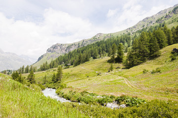 Fototapeta na wymiar Sils, Val Fex, Fextal, Wanderweg, Fex Cresta, Furtschellas, Alpen, Marmorè, Oberengadin, Graubünden, Sommer, Schweiz