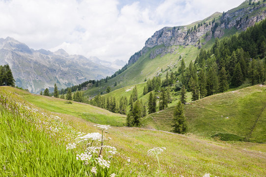 Sils, Val Fex, Fextal, Wanderweg, Fex Cresta, Furtschellas, Alpen, Marmor&egrave;, Oberengadin, Graub&uuml;nden, Sommer, Schweiz
