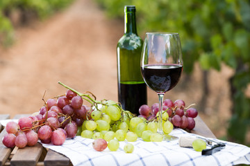 still life with glass of red wine and grapes