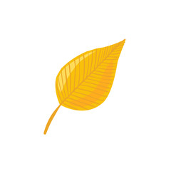 Hand drawn yellow leaf. Leaf in line art style isolated on white background.