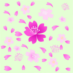 Pink Sakura Flowers nature Background. illustration.