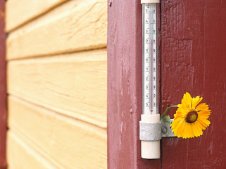  gauge and a flower