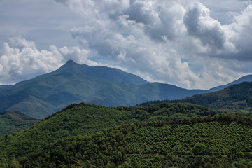 Fototapeta na wymiar Cloudy autumn landscape on green mountains peak